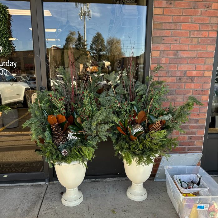 Evergreen winter planters at a shop storefront