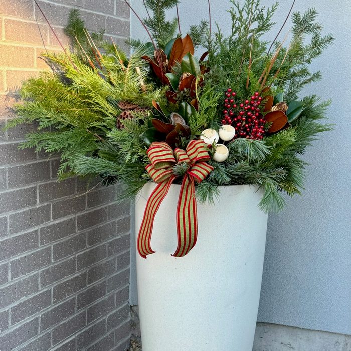A tall white winter planter with evergreen, magnolia, and red berries